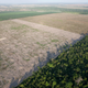 Illustration for article titled Worrying New Data Suggests Amazon Deforestation Rates Are Spiking